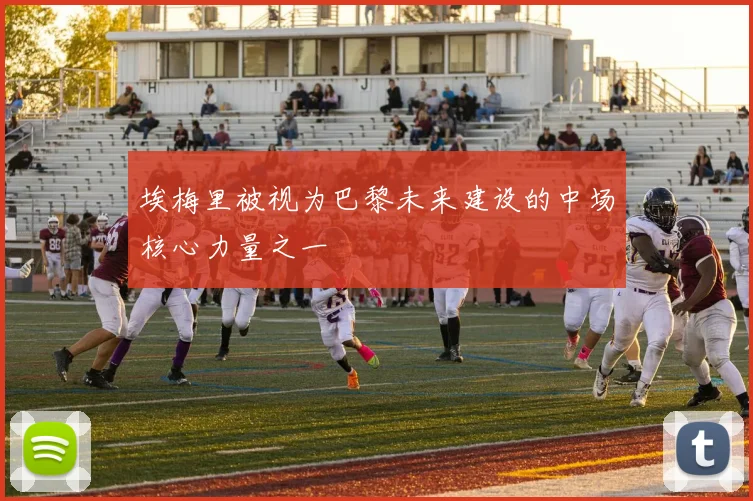 埃梅里被视为巴黎未来建设的中场核心力量之一