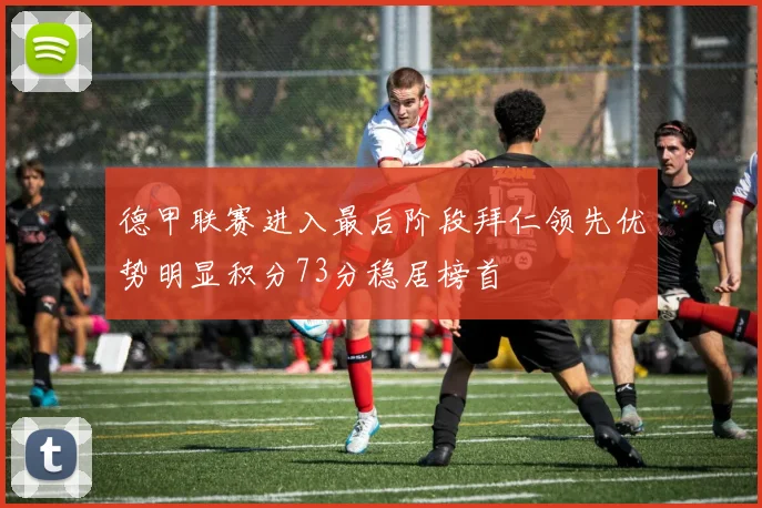 德甲联赛进入最后阶段拜仁领先优势明显积分73分稳居榜首