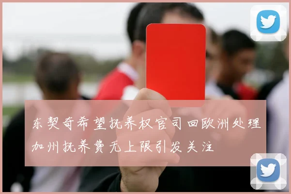 东契奇希望抚养权官司回欧洲处理加州抚养费无上限引发关注